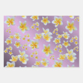 frangipani, petal, bloem, design, bloesem, loodgie inpakpapier vel (Voorkant 2)