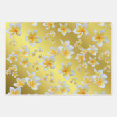 frangipani, petal, bloem, design, bloesem, loodgie inpakpapier vel (Voorkant)