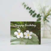 Frangipani Plumeria bloemen op groene verjaardag Briefkaart (Staand voorkant)
