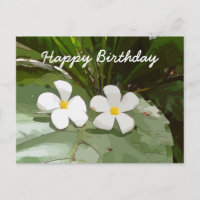 Frangipani Plumeria bloemen op groene verjaardag