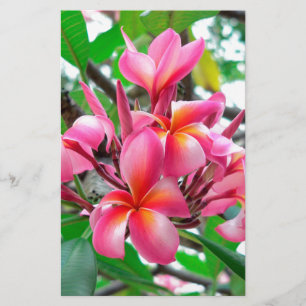 Frangipani (Plumeria) Briefpapier