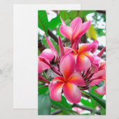 Frangipani (Plumeria) Briefpapier (Voorkant / Achterkant)