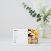 Frangipani - Plumeria Visitekaartje (Staand voorkant)