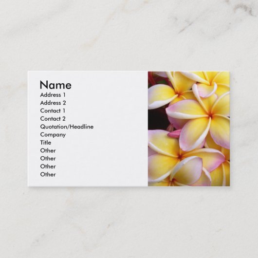 Frangipani - Plumeria Visitekaartje (Voorkant)