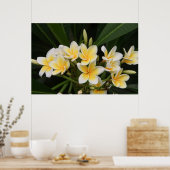 Frangipani Poster (Keuken)