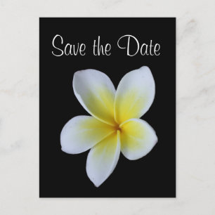 Frangipani redt de date trouwaankondiging aankondigingskaart