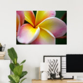 Frangipani sluiten poster (Thuiskantoor)