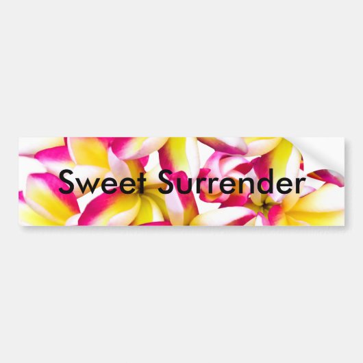 Frangipani tempelbloem bumpersticker (Voorkant)