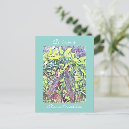 Frangipani Tree Cairns Australië tropisch Briefkaart (Staand voorkant)