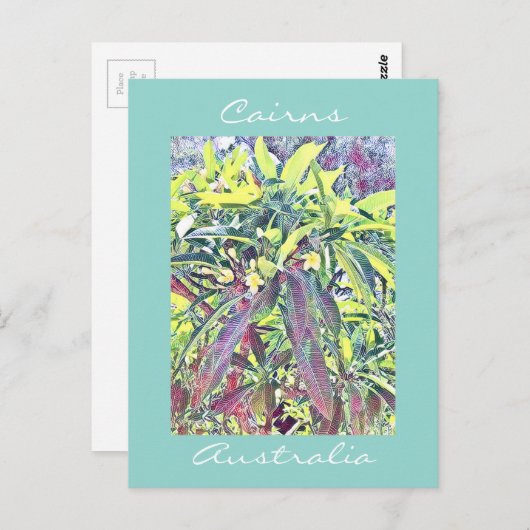 Frangipani Tree Cairns Australië tropisch Briefkaart (Voorkant / Achterkant)