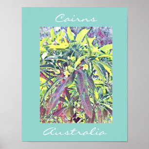 Frangipani Tree Cairns Australië tropisch Poster