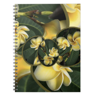 Frangipani Tropical Design 80-pagina notitieboek