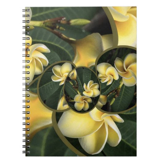 Frangipani Tropical Design 80-pagina notitieboek (Voorkant)