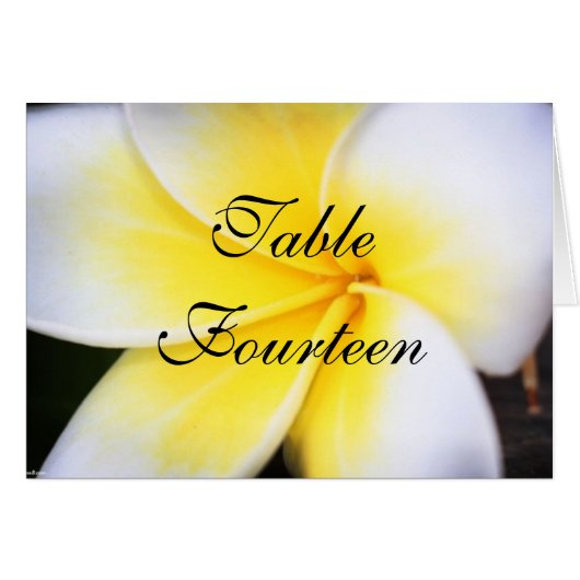 Frangipani - Weddenschappen met nummer (Voorkant Horizontaal)