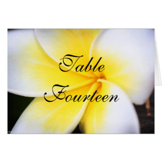 Frangipani - Weddenschappen met nummer