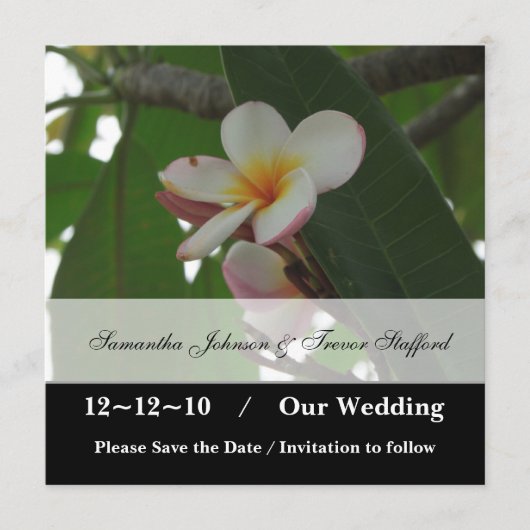 Frangipani Wedding Save the Date-aankondigingen Save The Date (Voorkant)