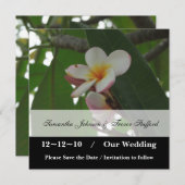 Frangipani Wedding Save the Date-aankondigingen Save The Date (Voorkant / Achterkant)