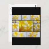 Frangipanis Briefkaart (Voorkant / Achterkant)