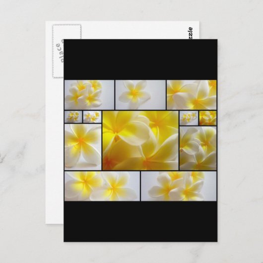 Frangipanis Briefkaart (Voorkant / Achterkant)