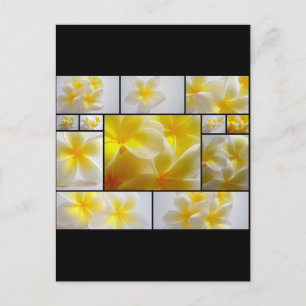 Frangipanis Briefkaart