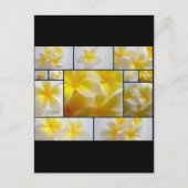 Frangipanis Briefkaart (Voorkant)