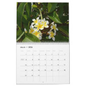 Frangipanis de schoonheid van de kalender van Love (Mar 2026)