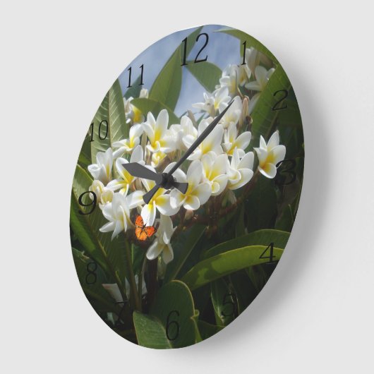 Frangipanis met vlinder, klok (Hoek)