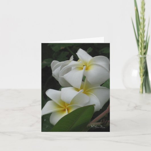 Frangipanis Note Cards Kaart (Voorkant)