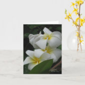 Frangipanis Note Cards Kaart (Gele Bloem)