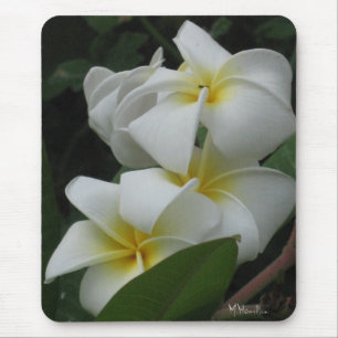 Frangipanis Photo Mousepad Muismat