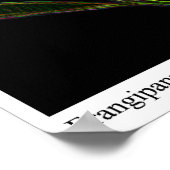 Frangipanni Poster (Hoek)