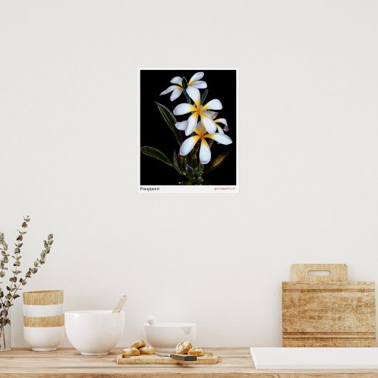 Frangipanni Poster (Keuken)