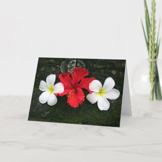 franjangipani trioof kaart (Voorkant)