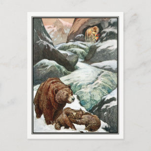 Frank C. Papé Pape - Beren in bergen Briefkaart