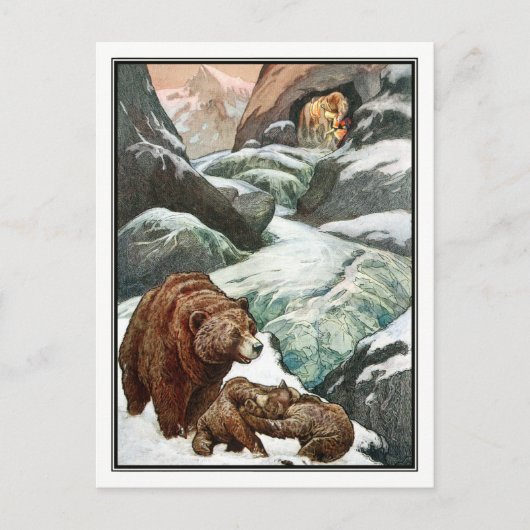 Frank C. Papé Pape -  Beren in bergen Briefkaart (Voorkant)