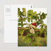 Frank&Lennart klimboom Briefkaart (Voorkant / Achterkant)
