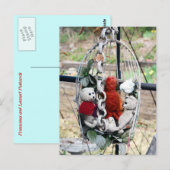 Frank, Leo en Mandarijn Briefkaart (Voorkant / Achterkant)