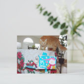 Frank&Leo: Heb je de kat gezien? briefkaart (Staand voorkant)