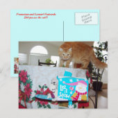 Frank&Leo: Heb je de kat gezien? briefkaart (Voorkant / Achterkant)