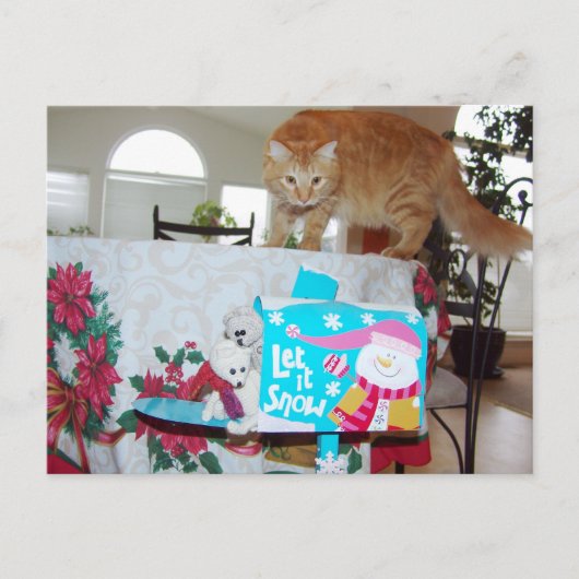 Frank&Leo: Heb je de kat gezien? briefkaart (Voorkant)