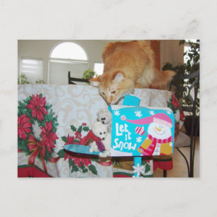 Frank&Leo: Hij is hier! Kerstman? Nr, de kat! Feestdagenkaart