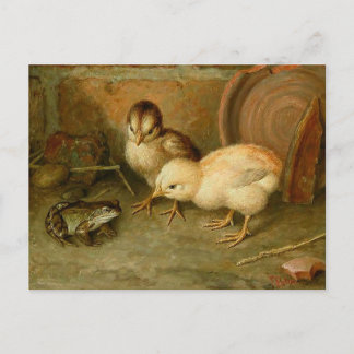 Frank Paton - je bent geen kippen Briefkaart