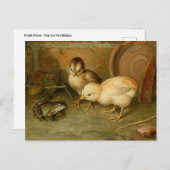 Frank Paton - je bent geen kippen Briefkaart (Voorkant / Achterkant)