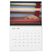Frank Roberts Photography Calendar Kalender (Mar 2027)