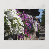 Frankenmuth, Michigan Briefkaart (Voorkant)