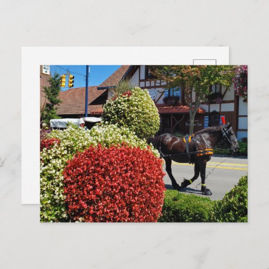 Frankenmuth, Michigan, paardenkoets Briefkaart (Voorkant / Achterkant)