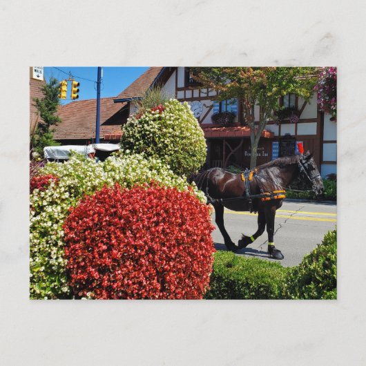 Frankenmuth, Michigan, paardenkoets Briefkaart (Voorkant)
