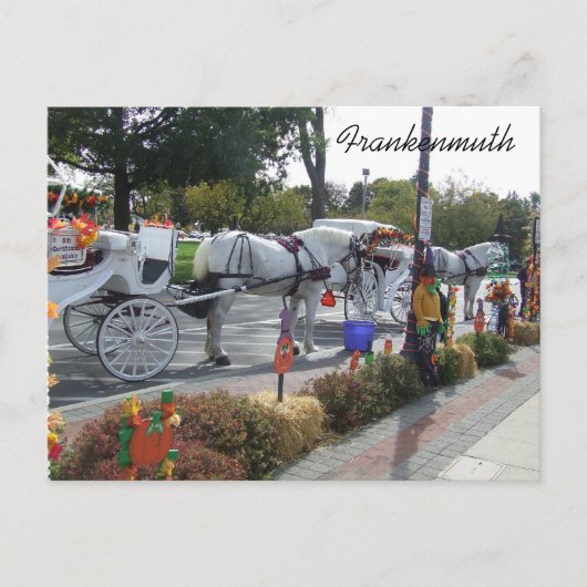 frankenmuth-michigan-white-horse-buggy-carrier-fa briefkaart (Voorkant)