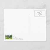 Frankenmuths bedekte brug die je denkt briefkaart (Achterkant)