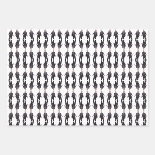 Frankenstein inpakpapier vellen (Voorkant 3)